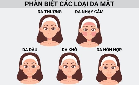 Hình minh họa các loại da mặt: thường, nhạy cảm, dầu, khô, hỗn hợp.